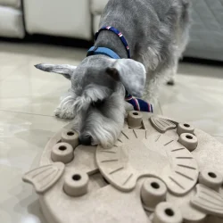 IMG_6055