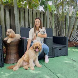 de06172e-6197-4258-9640-7726bcf3069e